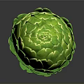 Fresh Green Artichoke With Tightly Packed Leaves On Dark Background
