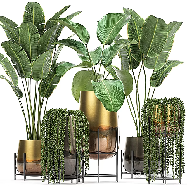 Lush Green Potted Plants With Large Leaves In Metallic And Ceramic Planters 3d model 