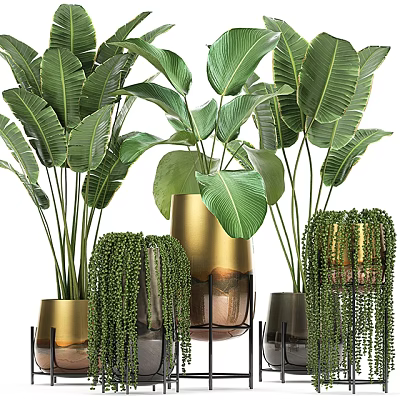 Lush Green Potted Plants With Large Leaves In Metallic And Ceramic Planters 3d model