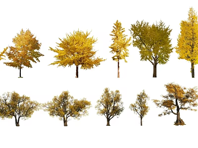 Various Deciduous Trees Featuring Autumn Yellow Green Foliage And Diverse Shapes 3d model