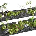 Bonsai Potted Plants Natural Landscape Design With Moss Stones And Ferns
