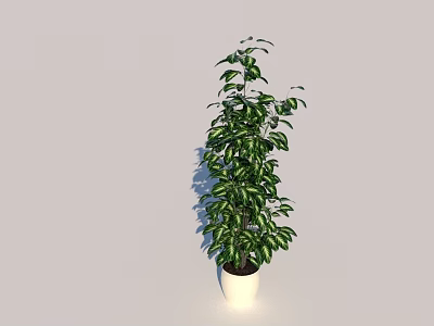 Lush Green Vine Plant in White Pot for Indoor Home Decoration 3d model