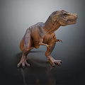 Realistic Brown T Rex Dinosaur Model in Standing Posture on Dark Gradient Background 3d model