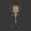 Golden Textured Beetle Sculpture Featuring Shiny Surface And Dark Background Reflection