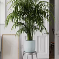 Various Potted Plants in Indoor Space with Diverse Flower Pots and Green Decorative Elements