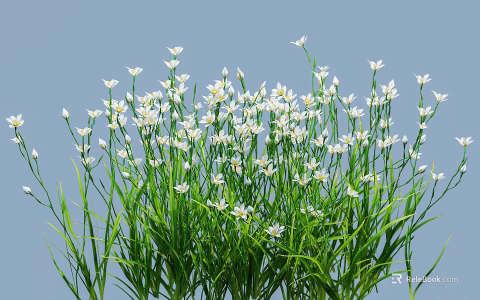 White Small Flowers Growing On Green Herbaceous Plants With Light Blue Background 3d model 