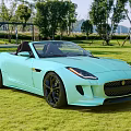 Light blue Jaguar convertible sports car parked on green grass field with trees
