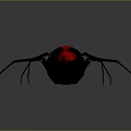 Black Widow Spider With Black Body Red Marking And Long Legs On Gray Background