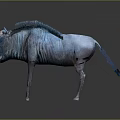 Blue Buffalo With Textured Body And Horns On Dark Background