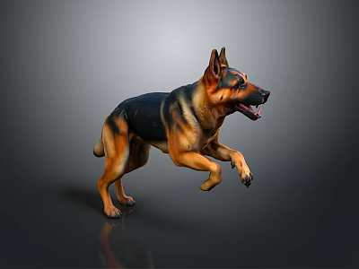 German Shepherd Leaping Running Mid Air with Open Mouth on Gray Background 3d model
