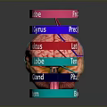 Human Brain Anatomy Model Showing Frontal Parietal Temporal Occipital Lobes And Cerebellum