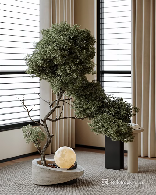 Indoor Bonsai Plant with Elegant Curved Branches and Lush Foliage Near Window Blinds 3d model 