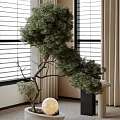 Indoor Bonsai Plant with Elegant Curved Branches and Lush Foliage Near Window Blinds