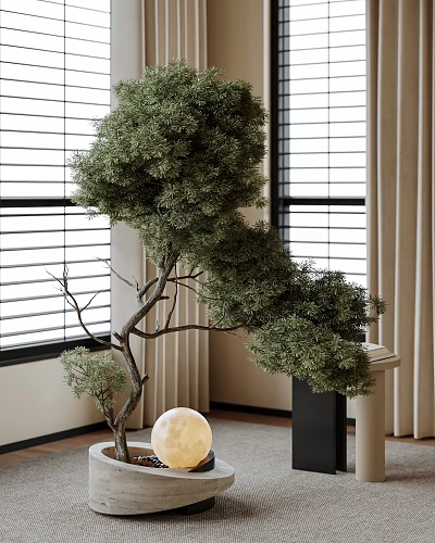 Indoor Bonsai Plant with Elegant Curved Branches and Lush Foliage Near Window Blinds 3d model
