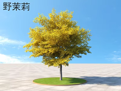 Wild Jasmine Shrub With Vibrant Yellow Leaves Against Clear Blue Sky On Circular Green Lawn 3d model