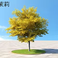 Wild Jasmine Shrub With Vibrant Yellow Leaves Against Clear Blue Sky On Circular Green Lawn