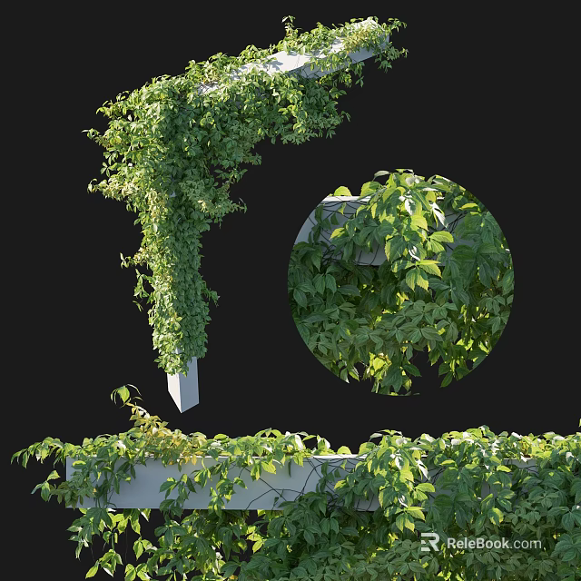Lush Green Vines Covering Decorative Wall Structure With Fresh Leaves And Growth 3d model 