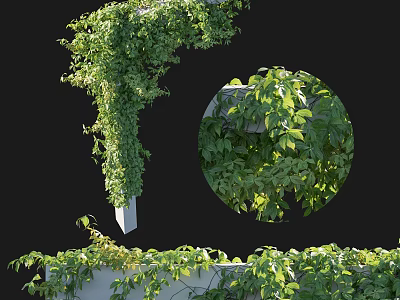 Lush Green Vines Covering Decorative Wall Structure With Fresh Leaves And Growth 3d model