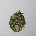 Fresh Green Whole Pineapple With Leafy Top And Vibrant Healthy Exterior