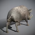 Realistic Wild Boar With Rough Gray Fur And Prominent Tusks Standing