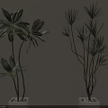 Indoor Potted Plants With Different Green Leaves In White Square Pots Against Neutral Wall