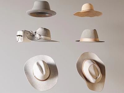 Stylish Hats Collection Featuring Various Designs in Neutral Gray and Beige Tones 3d model