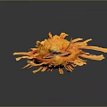 Orange Spongy Coral Like Object with Long Thin Projections on Dark Background and Reflection
