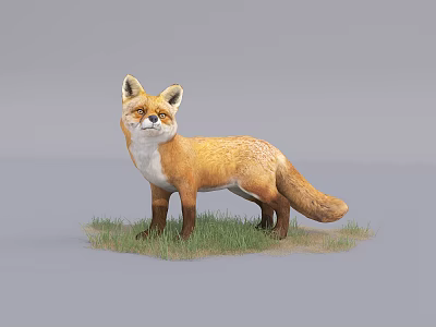 Reptile Standing On Green Grass In Natural Outdoor Habitat Scene 3d model