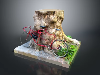 Red Bicycle Leaning Against Tree Stump With Gravel And Green Plants 3d model