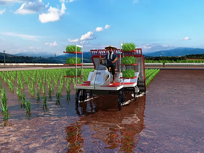 Scenic Rice Paddy Field With Green Seedlings Blue Sky And Distant Mountains 3d model