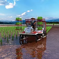 Scenic Rice Paddy Field With Green Seedlings Blue Sky And Distant Mountains