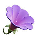 Vibrant Purple Flower With Delicate Petals And Lush Green Leaves