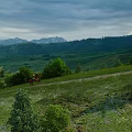 Scenic Green Hills Grassland with Snow Capped Mountains under Cloudy Sky and Rider on Horseback