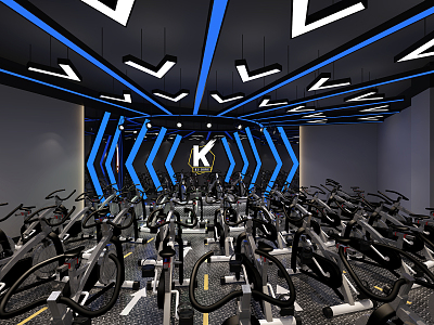 Modern Gym Spinning Gym model