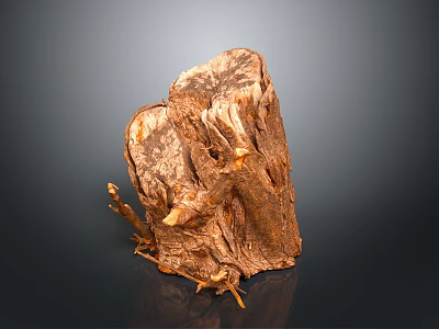 Natural Wood Stone Decorative Piece With Rustic Texture And Organic Shape 3d model