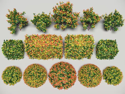 Various Shaped Colored Plants with Round Square Irregular Forms in Green Yellow Red Hues 3d model