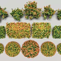 Various Shaped Colored Plants with Round Square Irregular Forms in Green Yellow Red Hues