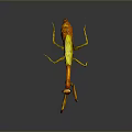 Yellow and Orange Mantis Standing with Long Legs on Gray Background with Reflection 3d model
