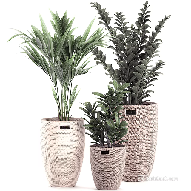 Bonsai Potted Plants With Woven Texture Pots And Various Green Leaf Plants For Indoor Decoration 3d model 