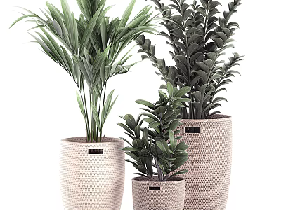 Bonsai Potted Plants With Woven Texture Pots And Various Green Leaf Plants For Indoor Decoration 3d model