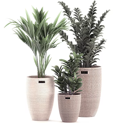 Bonsai Potted Plants With Woven Texture Pots And Various Green Leaf Plants For Indoor Decoration 3d model