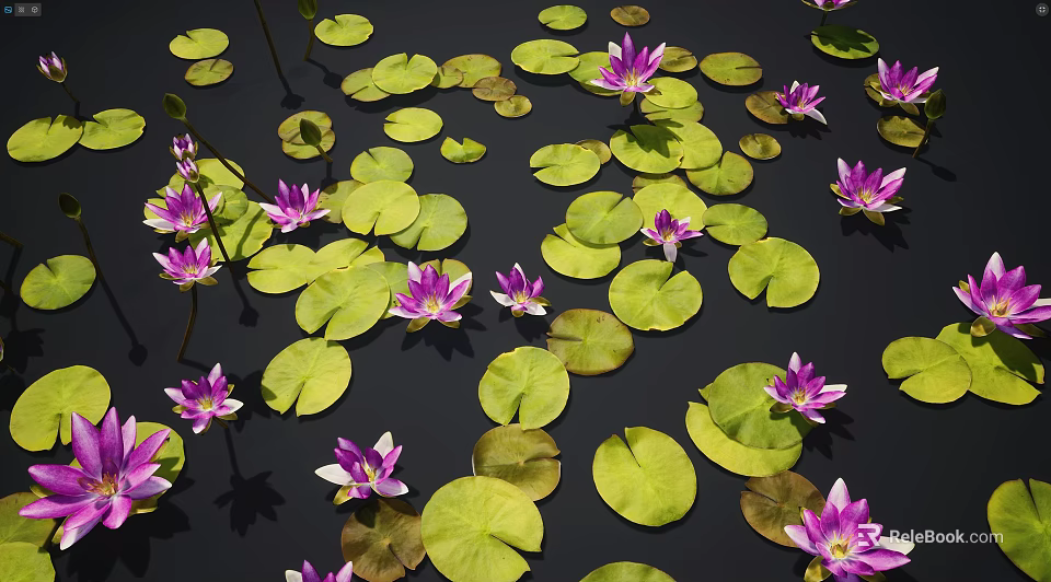 Beautiful Vibrant Aquatic Plants With Purple Water Lilies And Green Floating Lotus Leaves On Water 3d model 