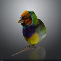Vibrant Multicolored Small Bird With Bright Colorful Feathers And Vibrant Plumage