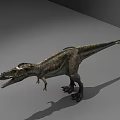 Realistic Tyrannosaurus Rex Dinosaur Model Standing In Gray Studio Background