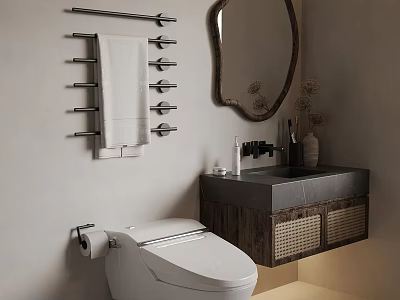 Modern Bathroom Interior Design With Toilet Towel Rack Mirror And Wooden Sink Cabinet 3d model