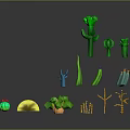 Various Green Plants With Different Shapes Including Cactus and Colorful Yellow Red Accents