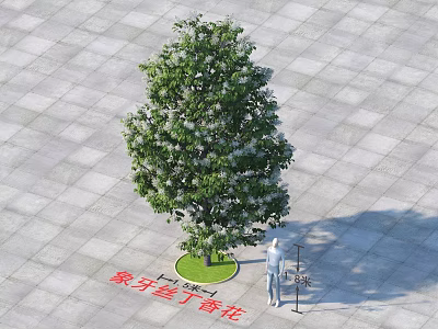Lush Green Arbor with Ivory Orchid Lilac Flowers on Square Paved Ground Lawn 3d model