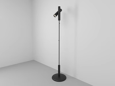 Black Floor Lamp Sleek Modern Design in Minimalist White Room Corner 3d model