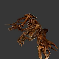 Highly Detailed Triceratops Skeleton 3D Model With Realistic Bone Structure