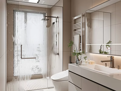 Modern Bathroom Interior With Glass Shower Enclosure Toilet Vanity And Mirror 3d model